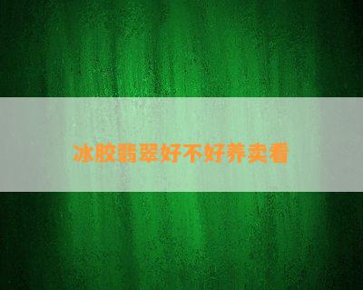 冰胶翡翠好不好养卖看