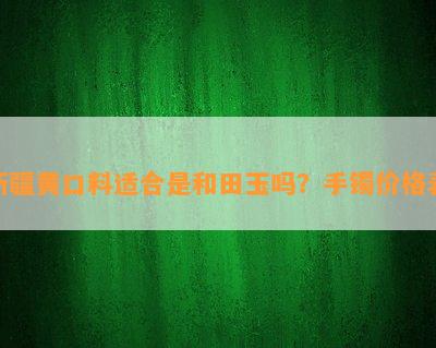 新疆黄口料适合是和田玉吗？手镯价格表