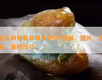 怎么辨别翡翠珠子好坏-视频、图片、图解、鉴别技巧