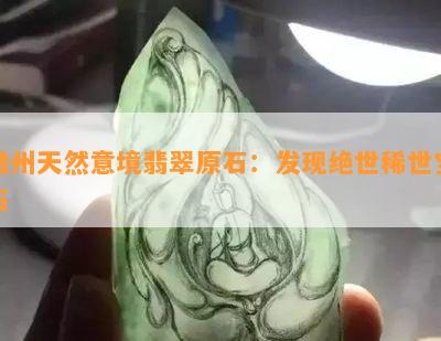 徽州天然意境翡翠原石：发现绝世稀世宝石