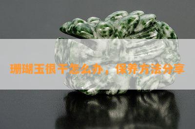 珊瑚玉很干怎么办，保养方法分享