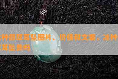 冰种翡翠耳坠图片、价格和文案，冰种翡翠耳坠贵吗