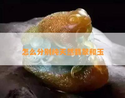 怎么分别纯天然翡翠和玉