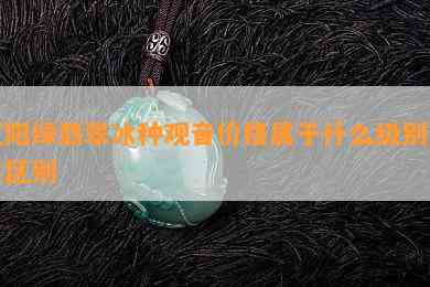 正阳绿翡翠冰种观音价格属于什么级别及其区别