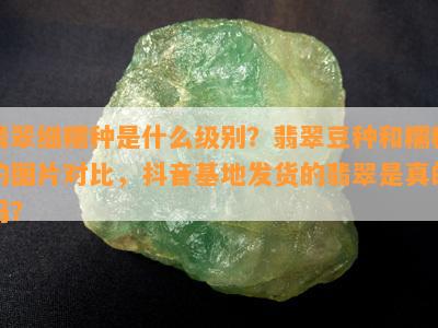 翡翠细糯种是什么级别？翡翠豆种和糯种的图片对比，抖音基地发货的翡翠是真的吗？