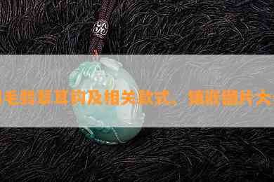 羽毛翡翠耳钩及相关款式、镶嵌图片大全