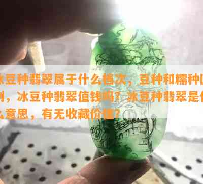 冰豆种翡翠属于什么档次，豆种和糯种区别，冰豆种翡翠值钱吗？冰豆种翡翠是什么意思，有无收藏价值？