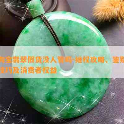 淘宝翡翠假货没人管吗-维权攻略、鉴别技巧及消费者权益