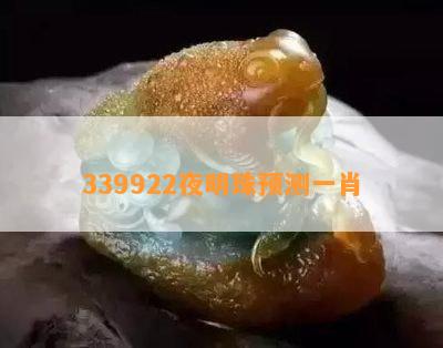 339922夜明珠预测一肖