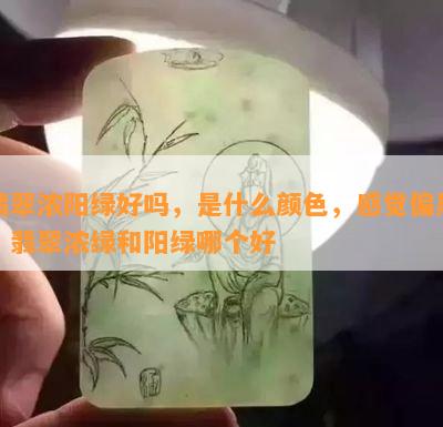 翡翠浓阳绿好吗，是什么颜色，感觉偏黑，翡翠浓绿和阳绿哪个好