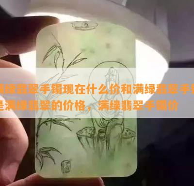 满绿翡翠手镯现在什么价和满绿翡翠手镯是满绿翡翠的价格，满绿翡翠手镯价