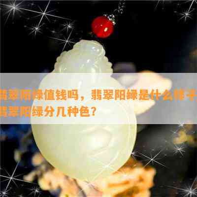 翡翠阳绿值钱吗，翡翠阳绿是什么样子，翡翠阳绿分几种色？