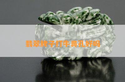 翡翠牌子打牛鼻孔好吗