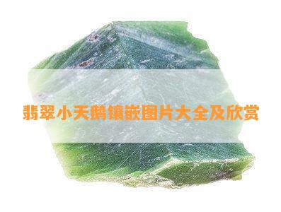 翡翠小天鹅镶嵌图片大全及欣赏