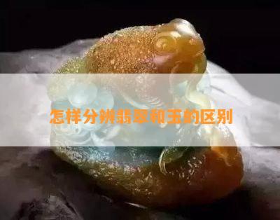 怎样分辨翡翠和玉的区别