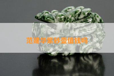 范建华紫砂壶值钱吗