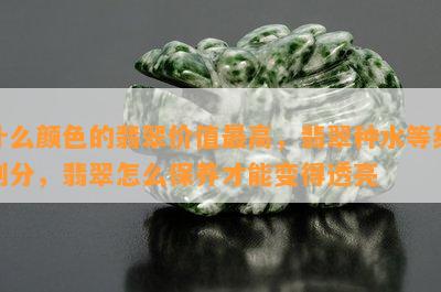 什么颜色的翡翠价值更高，翡翠种水等级划分，翡翠怎么保养才能变得透亮