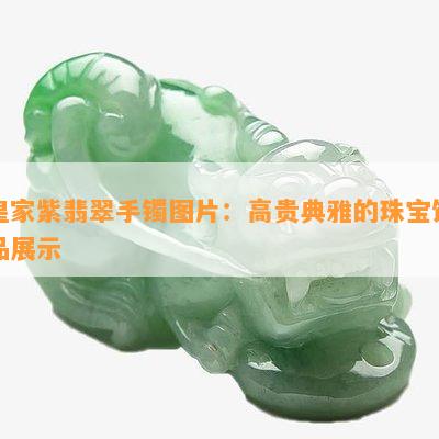 皇家紫翡翠手镯图片：高贵典雅的珠宝饰品展示