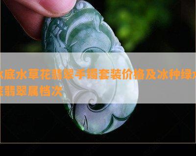 冰底水草花翡翠手镯套装价格及冰种绿水底翡翠属档次