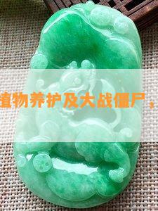 翡翠宝石植物养护及大战僵尸，图片及品种