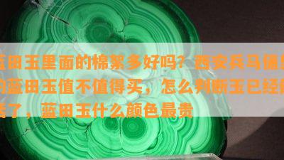 蓝田玉里面的棉絮多好吗？西安兵马俑里的蓝田玉值不值得买，怎么判断玉已经戴活了，蓝田玉什么颜色最贵