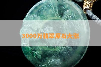 3000万翡翠原石大涨