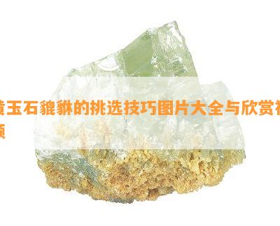 黄玉石貔貅的挑选技巧图片大全与欣赏视频