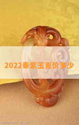 2022秦紫玉克价多少