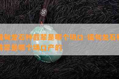 缅甸龙石种翡翠是哪个场口-缅甸龙石种翡翠是哪个场口产的