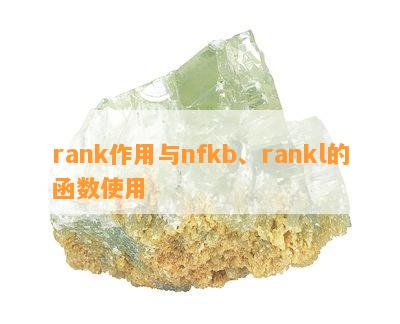 rank作用与nfkb、rankl的函数采用