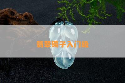 翡翠镯子入门级