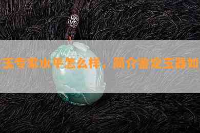 古玉专家水平怎么样，简介鉴定玉器怎样？