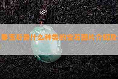 先秦玉石是什么种类的宝石图片介绍及价格