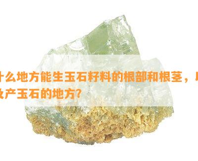 什么地方能生玉石籽料的根部和根茎，以及产玉石的地方？