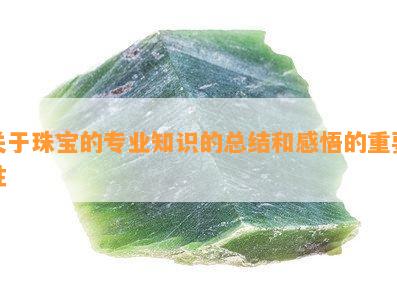 关于珠宝的专业知识的总结和感悟的关键性