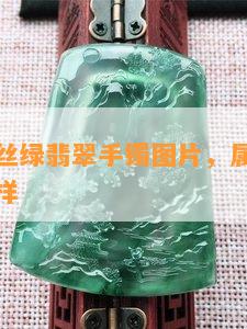 春彩飘金丝绿翡翠手镯图片，属于什么级别，怎么样