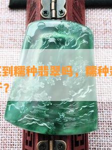 300能买到糯种翡翠吗，糯种翡翠多少钱一公斤？