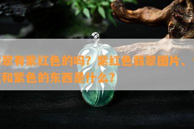 翡翠有紫红色的吗？紫红色翡翠图片、价值和紫色的东西是什么？