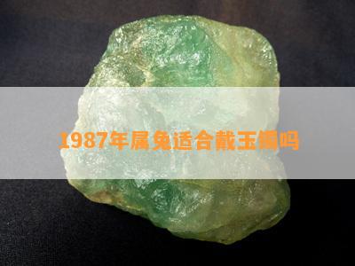 1987年属兔适合戴玉镯吗