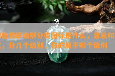 绿色翡翠级别分类图标是什么，意思和样式，分几个级别，你的属于哪个级别