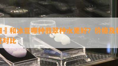 细繻和冰豆哪种翡翠种水更好？价格及特征对比