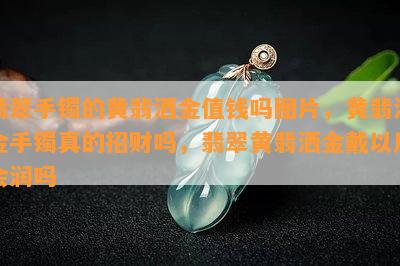 翡翠手镯的黄翡洒金值钱吗图片，黄翡洒金手镯真的招财吗，翡翠黄翡洒金戴以后会润吗