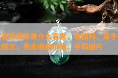 冰豆种翡翠是什么意思，值钱吗，属于什么档次，有无收藏价值，手镯图片