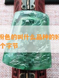 翡翠手镯粉色的叫什么品种的好，长度不能大于70个字节