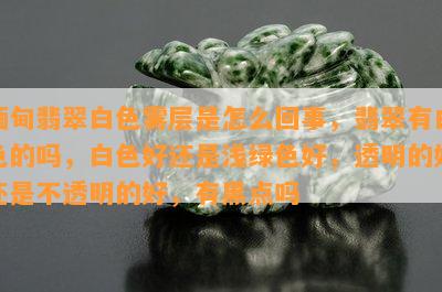 缅甸翡翠白色雾层是怎么回事，翡翠有白色的吗，白色好还是浅绿色好，透明的好还是不透明的好，有黑点吗