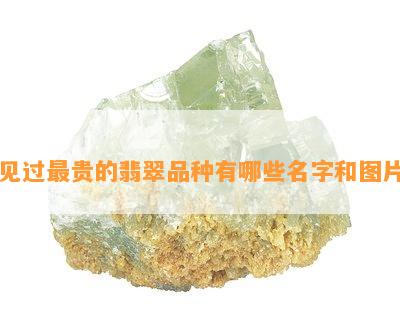 见过最贵的翡翠品种有哪些名字和图片