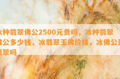 冰种翡翠佛公2500元贵吗，冰种翡翠佛公多少钱，冰翡翠玉佛价格，冰佛公是翡翠吗