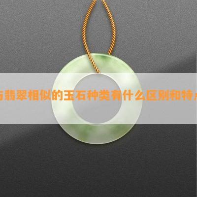 与翡翠相似的玉石种类有什么区别和特点？