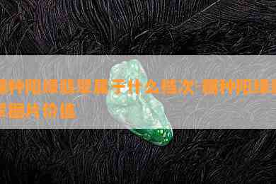 糯种阳绿翡翠属于什么档次-糯种阳绿翡翠图片价值