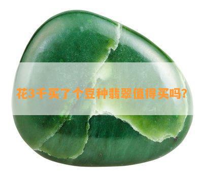 花3千买了个豆种翡翠值得买吗？